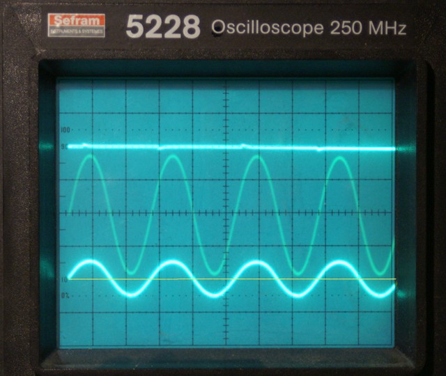 p6.JPG