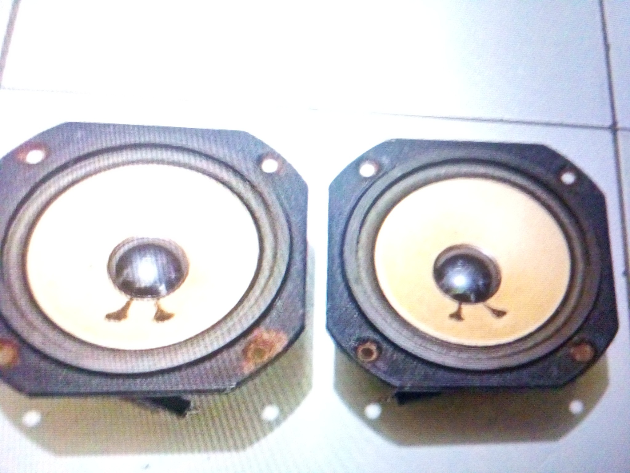 P_20221230_031859.jpg