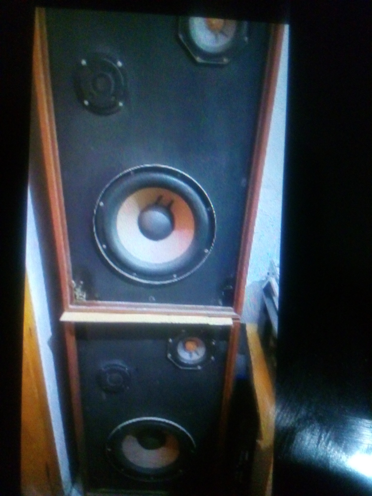 P_20230222_034959.jpg