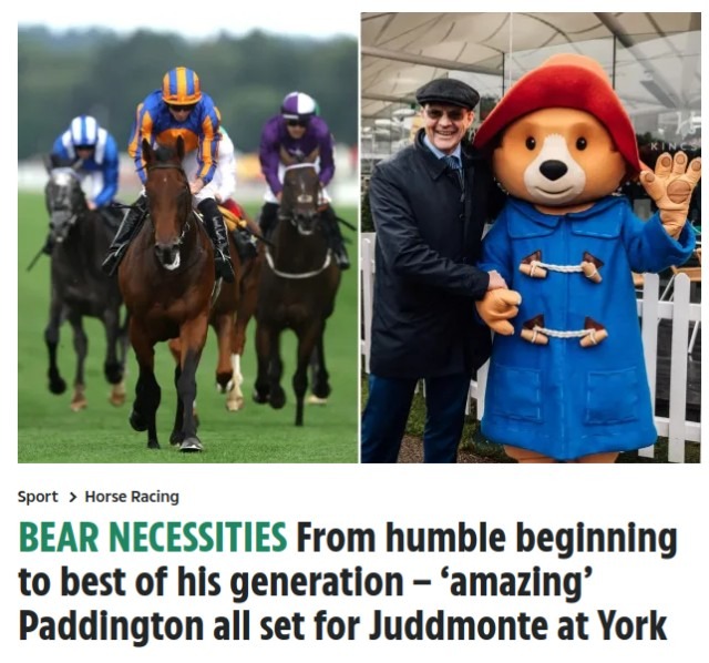 Paddington set for the win.jpg