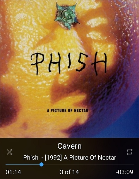 Phish - A Picture of Nectar.jpg