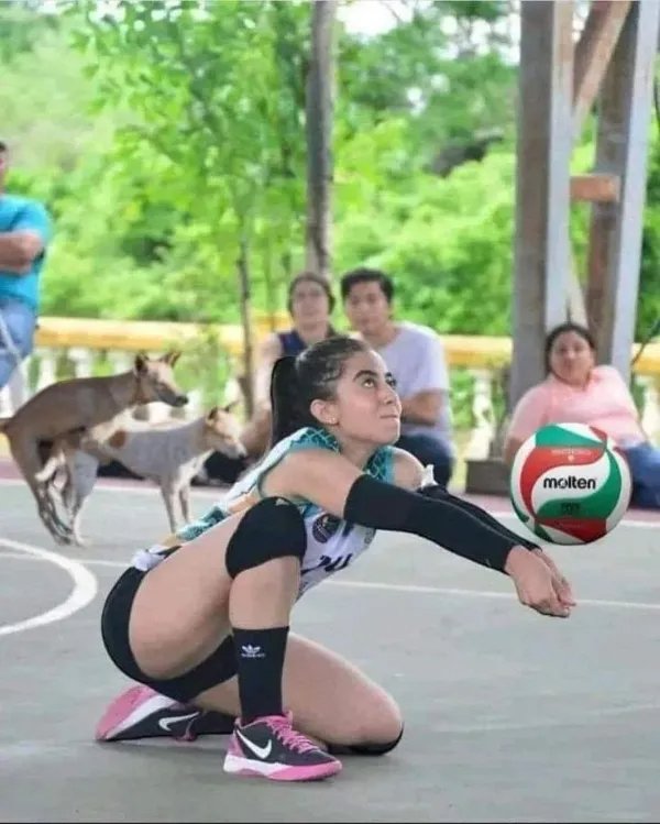 PhotoBomed.jpg