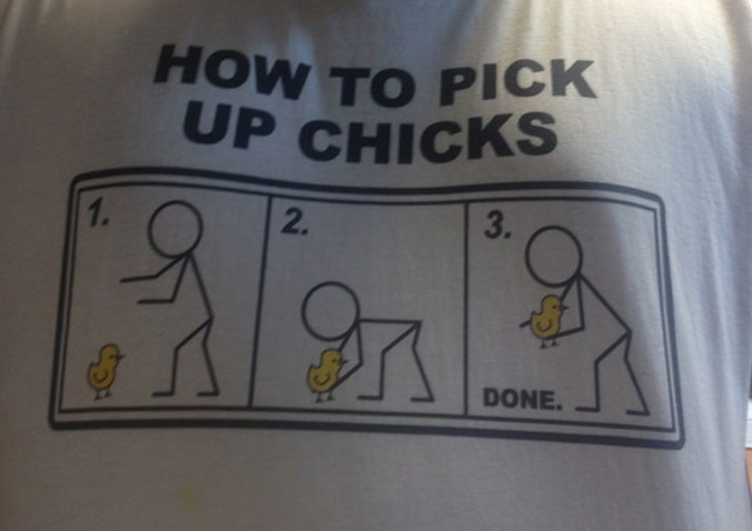 Pick up chicks.jpg