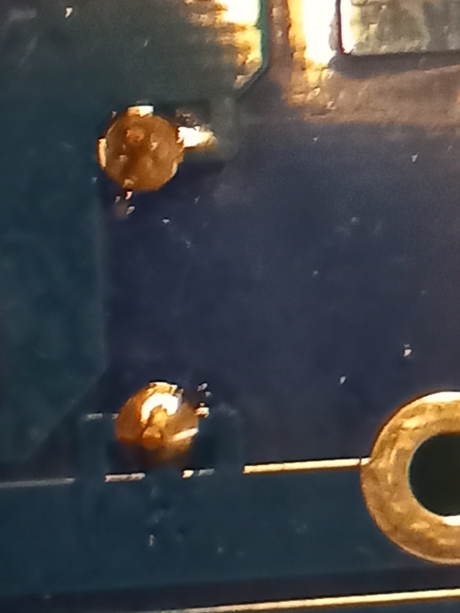 pieces of lead on pad.jpg