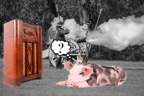 Pig Looking at Radio Cannon Fodder.png