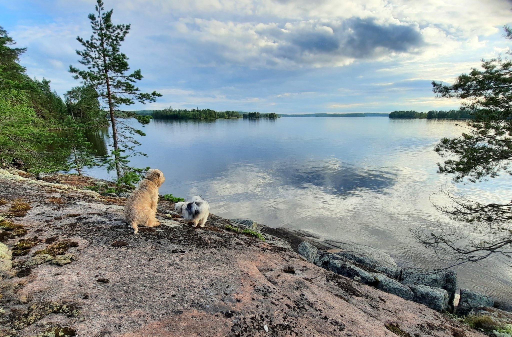 pikkukontiossa.jpg