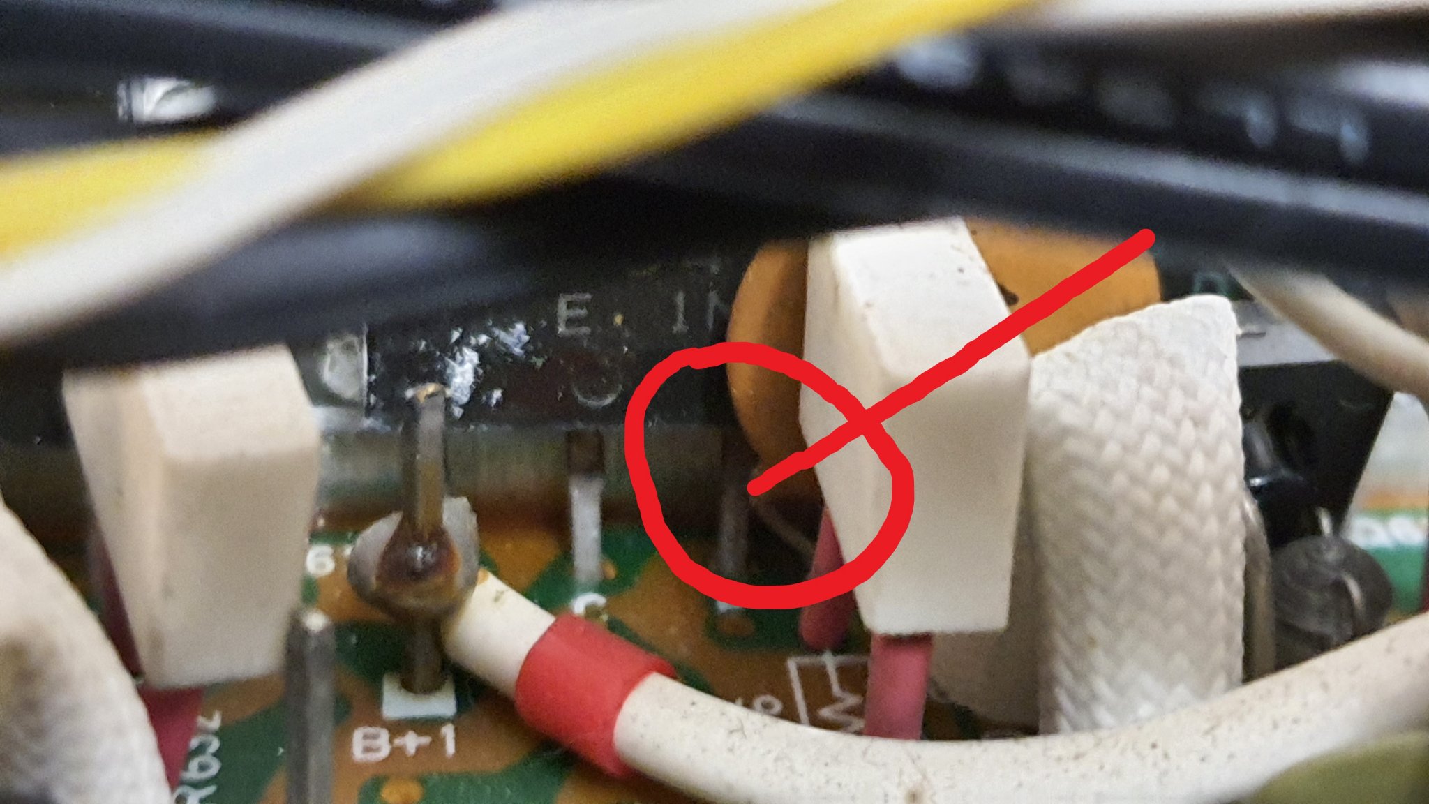 pin short.jpg