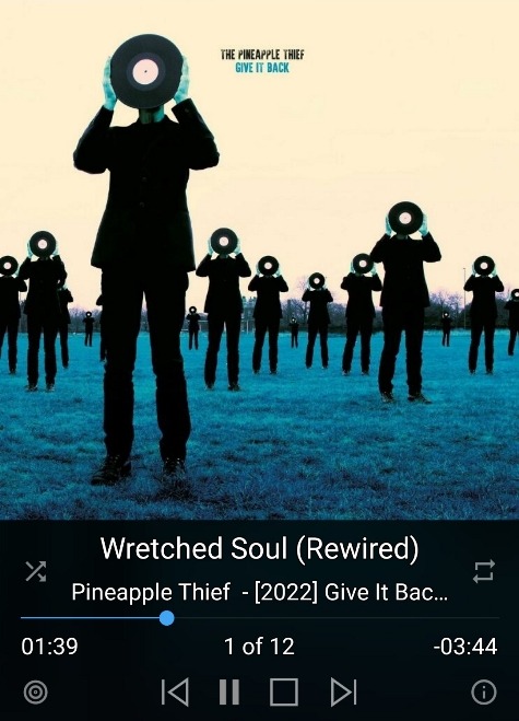 Pineapple Thief - Give It Back.jpg