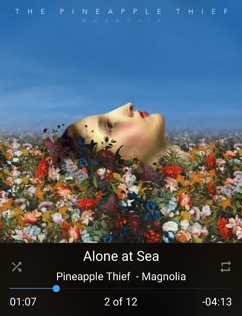 Pineapple Thief - Magnolia.jpg