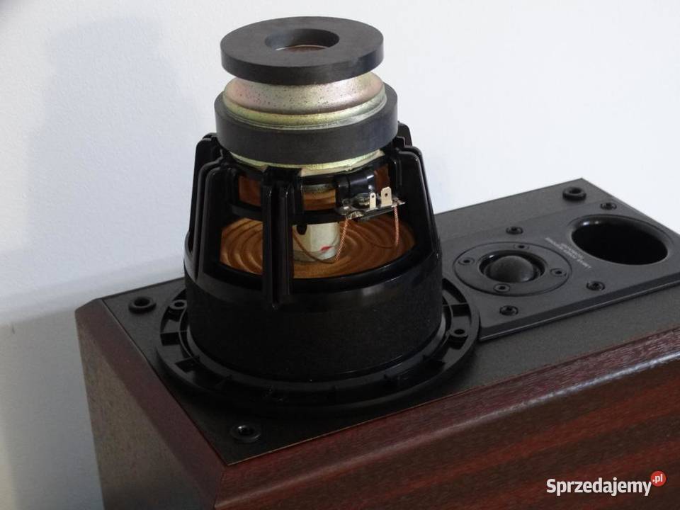 Pioneer SF-21 driver.jpg