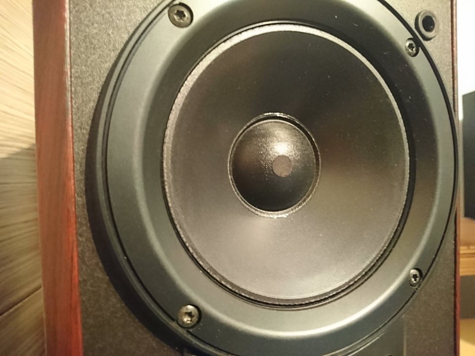 Pioneer SF-21_no surround.jpg