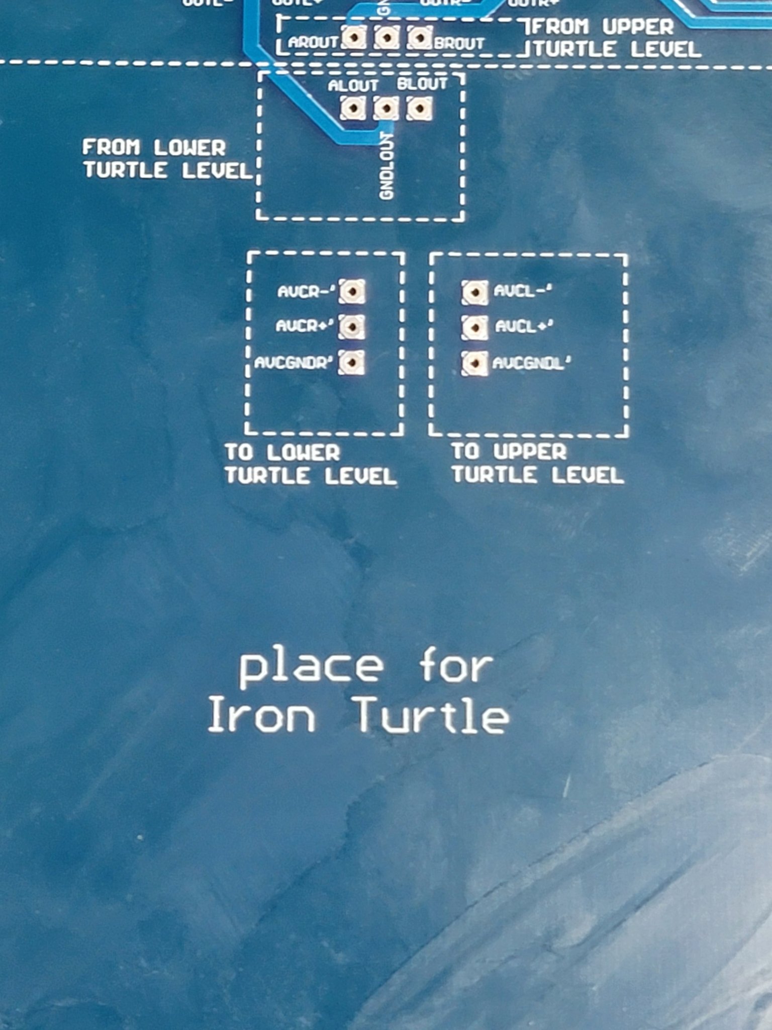 Place for Turtle.jpg