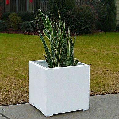 PLANTER BOXES.jpg