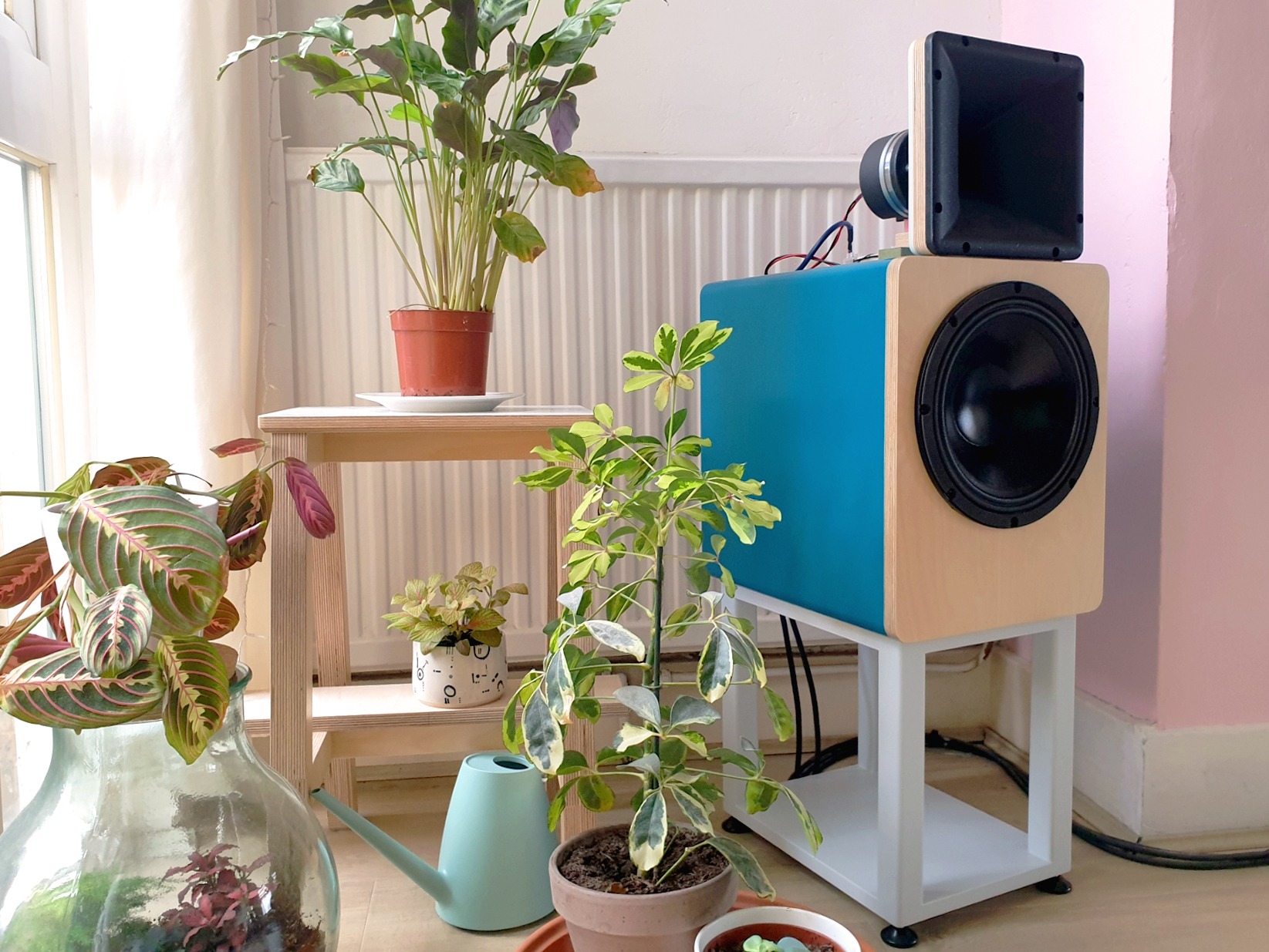 plants.jpg