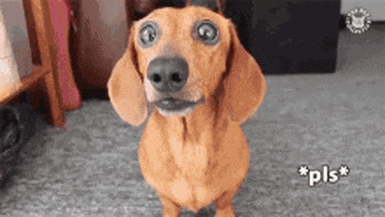 Please.gif