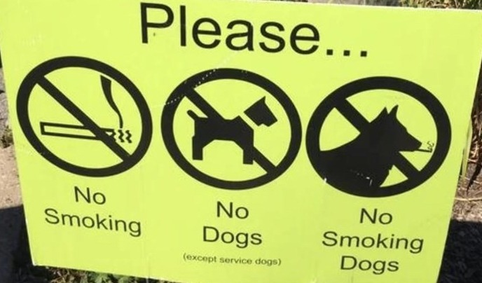 please-no-smoking-no-dogs-except-service-dogs-no-smoking-dogs.jpeg