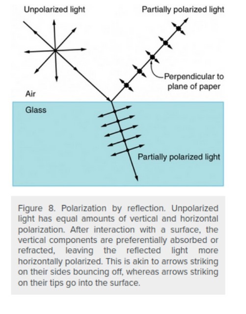 Polarised Light by Reflection.jpg