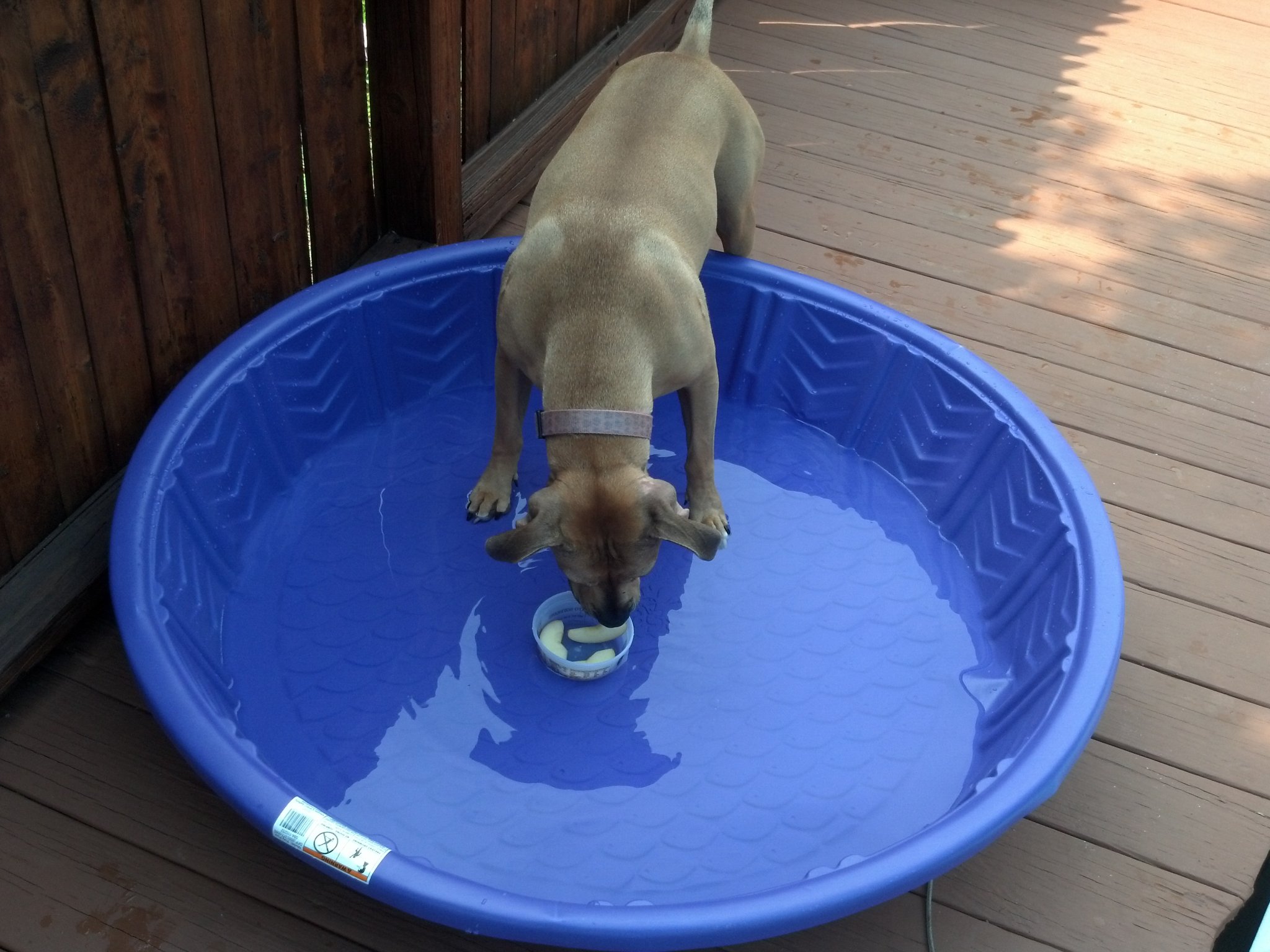 Pool 1.jpg