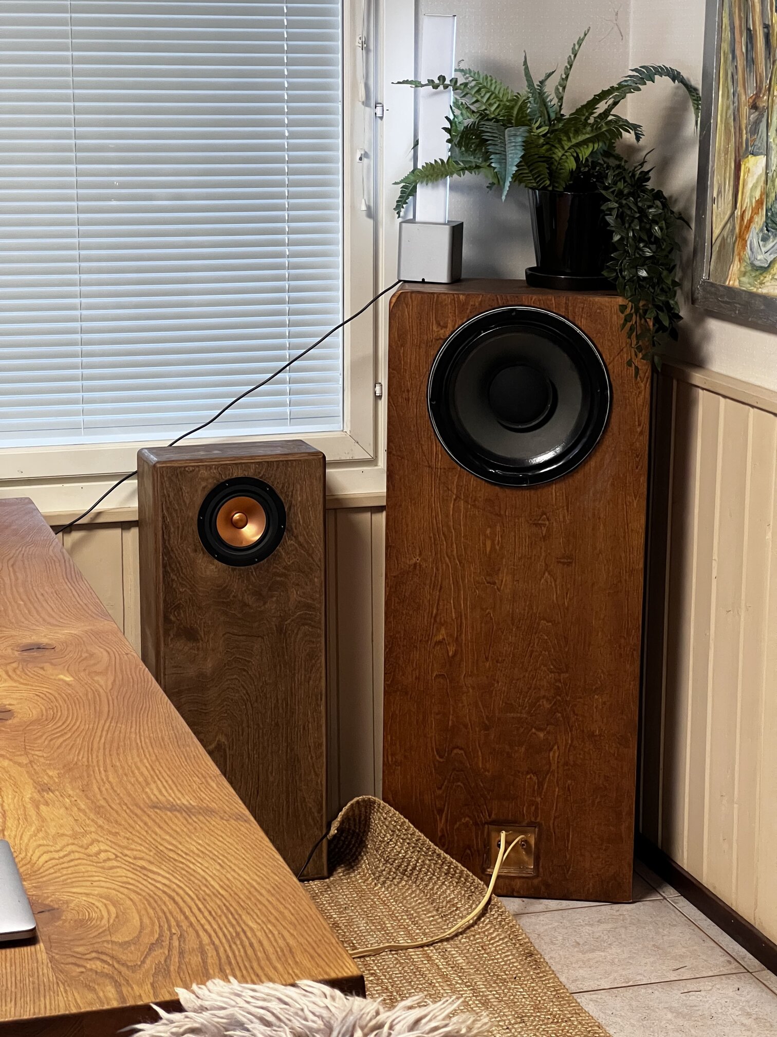 Poplar and Axiom 401.jpg