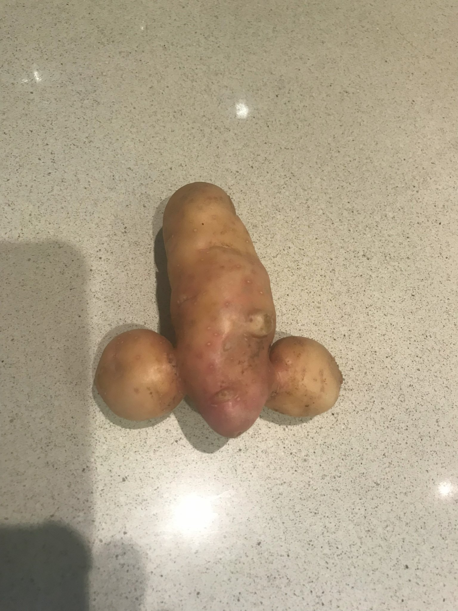 Potato.jpg