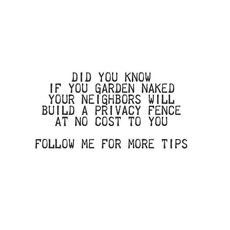 Privacy Fence.jpg