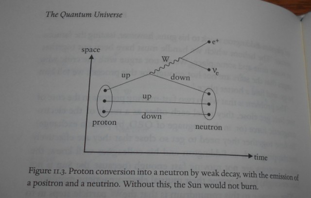 Proton Decay by Brian Cox.jpg