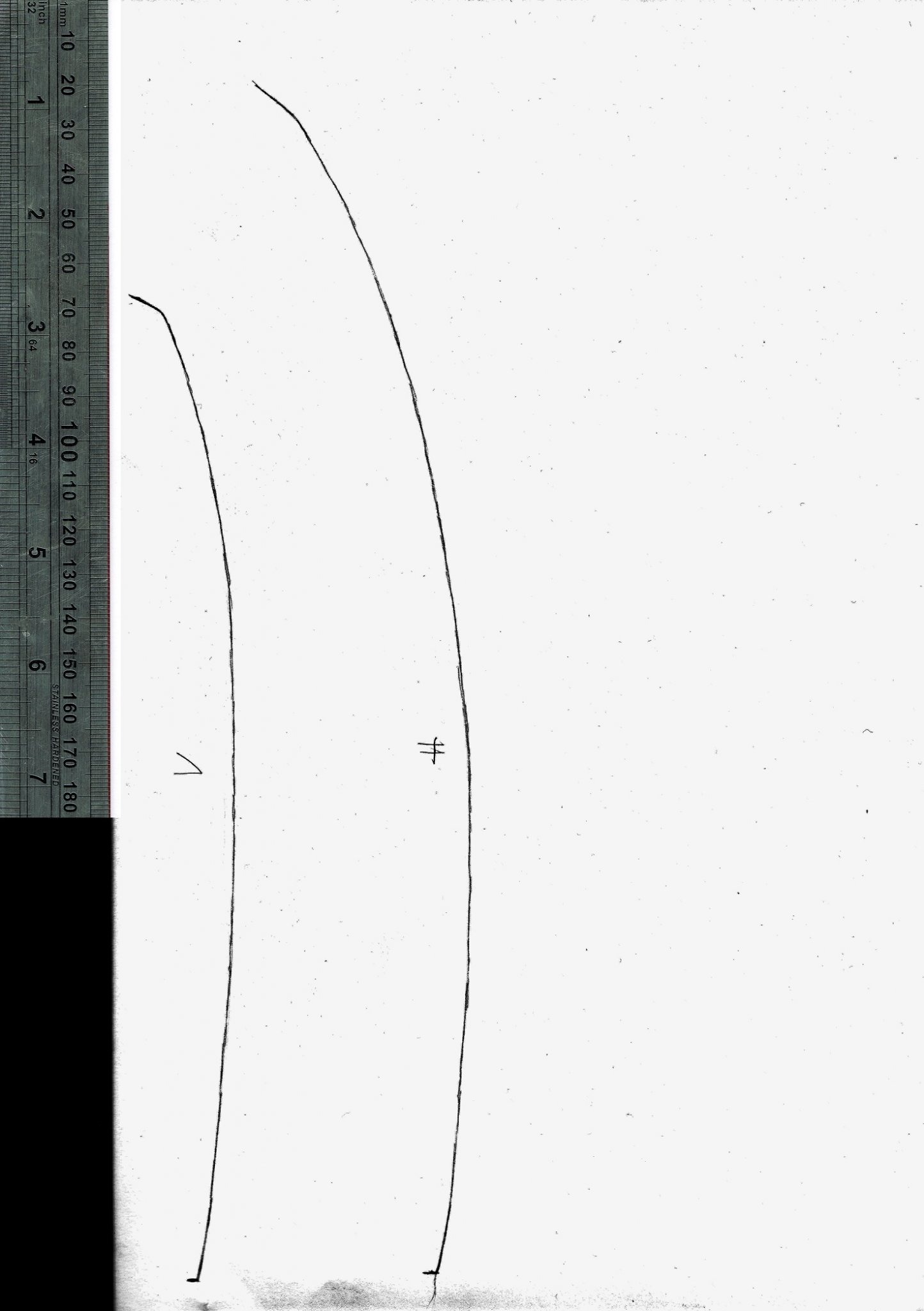 PRV_Waveguide_Horn Contur 1.jpg
