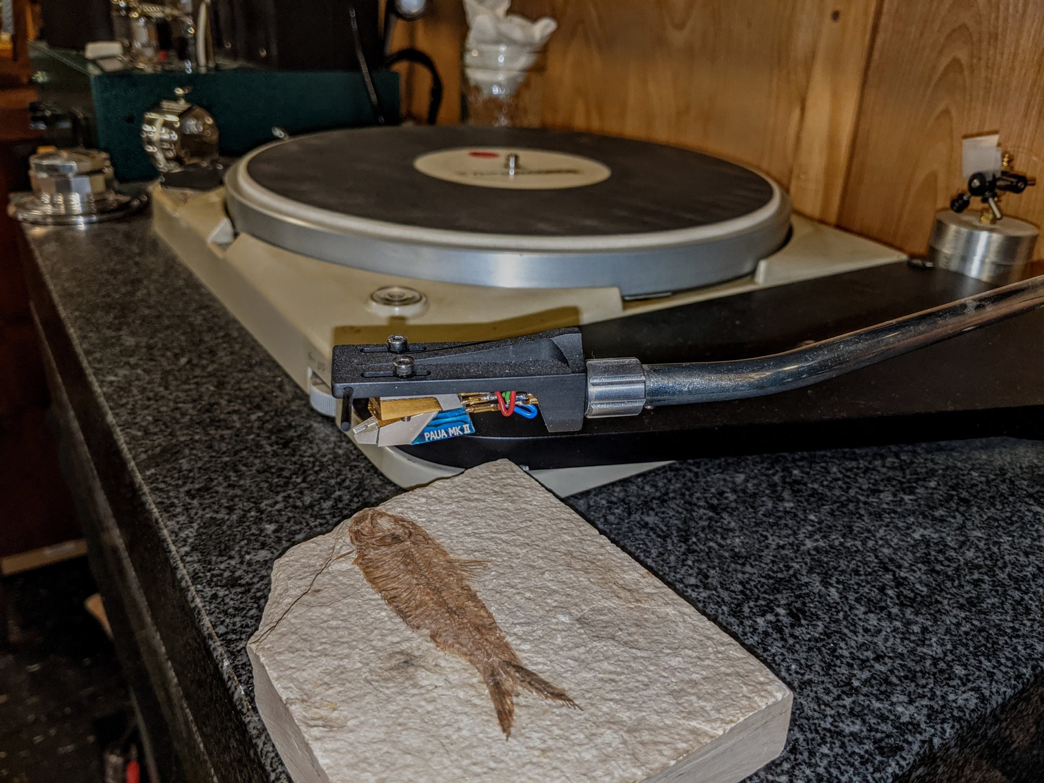 PXL_20220916_142547826 (2).jpg