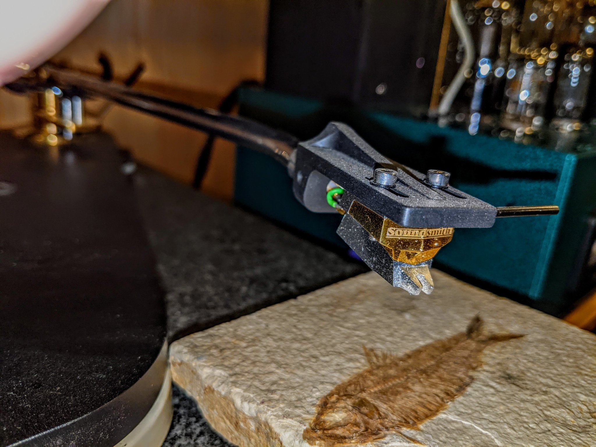 PXL_20220916_142602464 (2).jpg