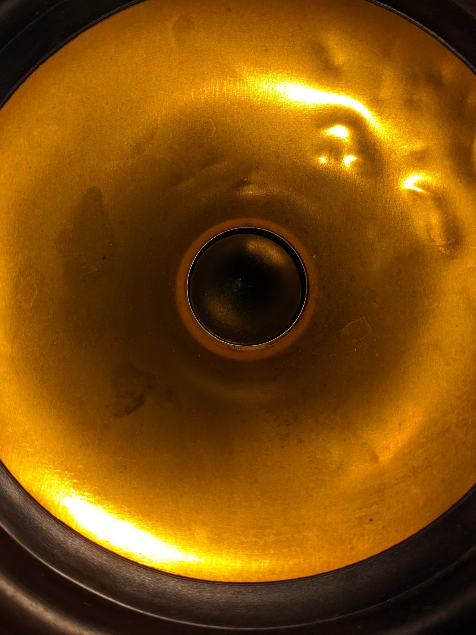 PXL_20240219_114539068.jpg