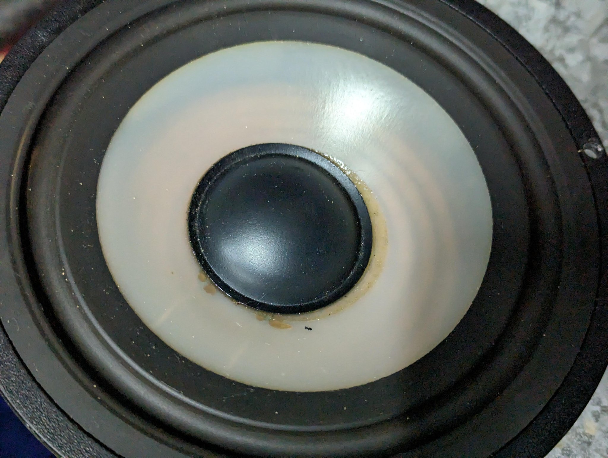 PXL_20240425_075650382.jpg