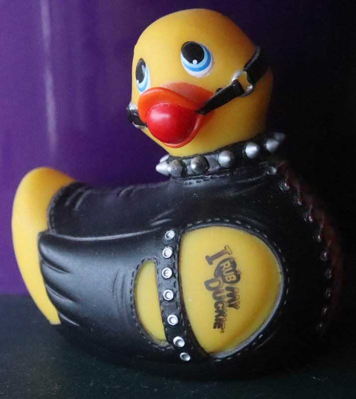 quackti.JPG