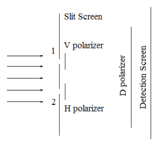 Quantum Eraser Setup.png