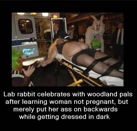 rabbit_Arse.jpg