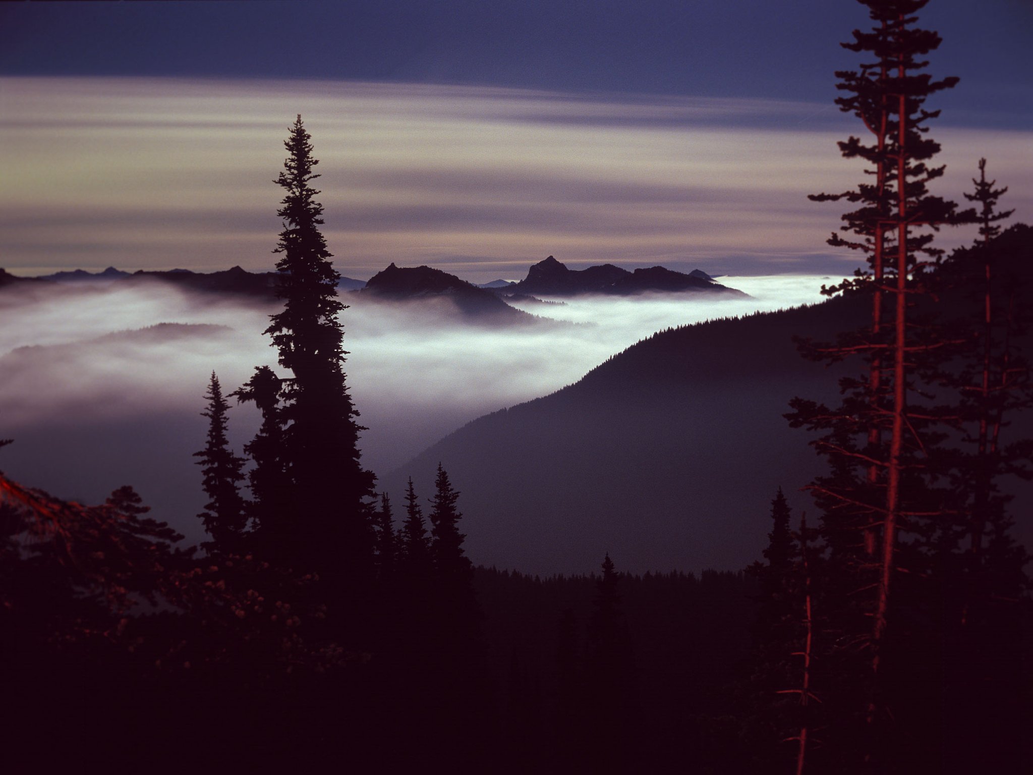 RainierByNight.jpg