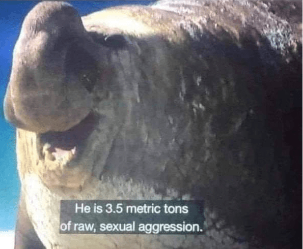 raw.png