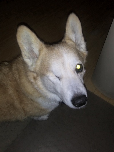 Reacher-eye.jpg