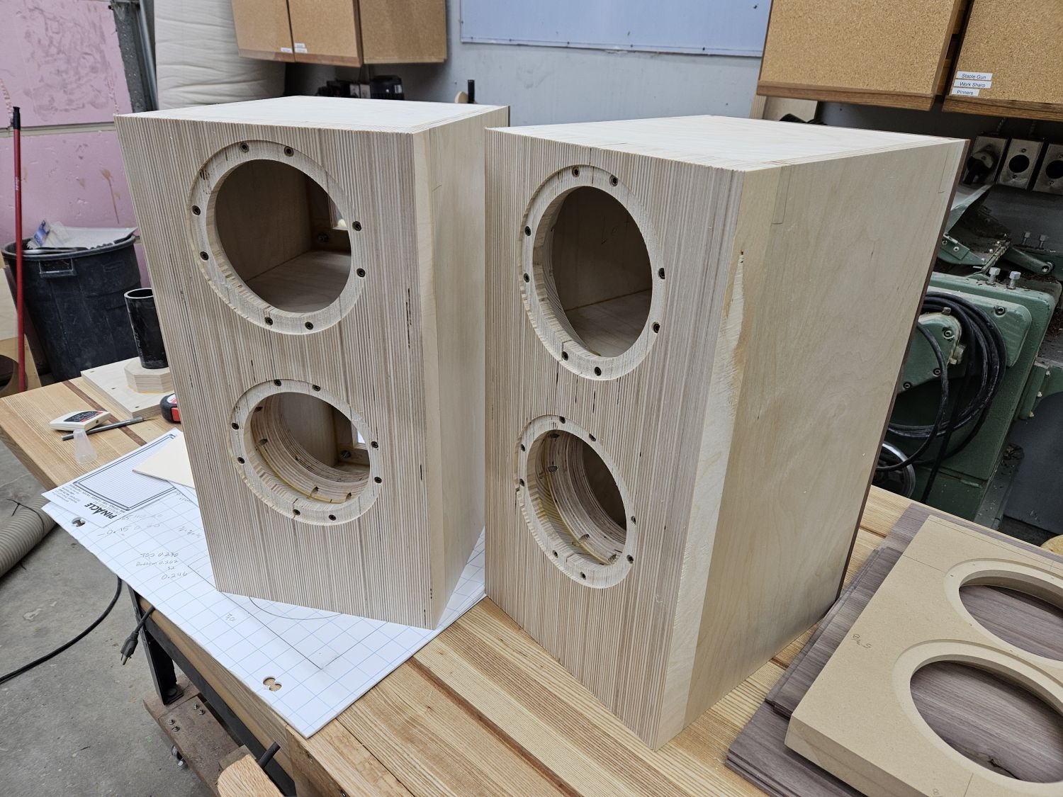 ready for veneer next.jpg