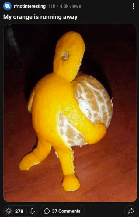 rnotinteresting-11h-48k-views-my-orange-is-running-away-278-37-comments.png