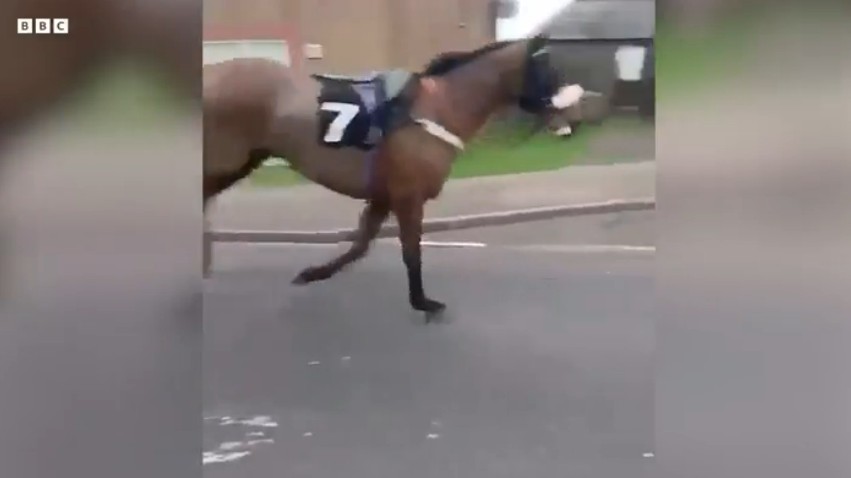 Rufio 7 Musselburgh.jpg
