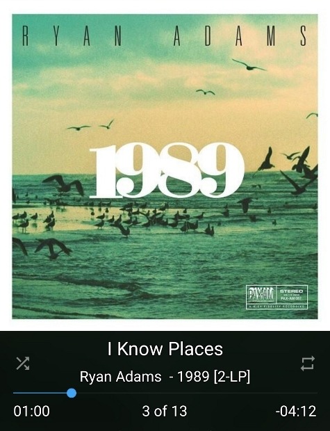 Ryan Adams - 1989.jpg