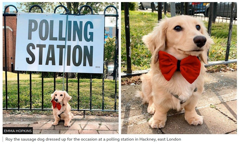 S7 Roy the Sausage Dog in Hackney.jpg