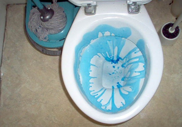 S7 Toilet Bowl.jpg