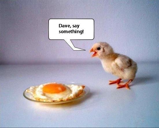 say something.jpg