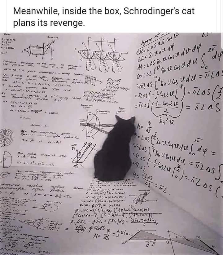 Schrodinger.jpg