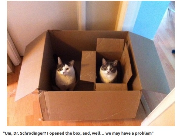 Schrodinger's Cat.jpg