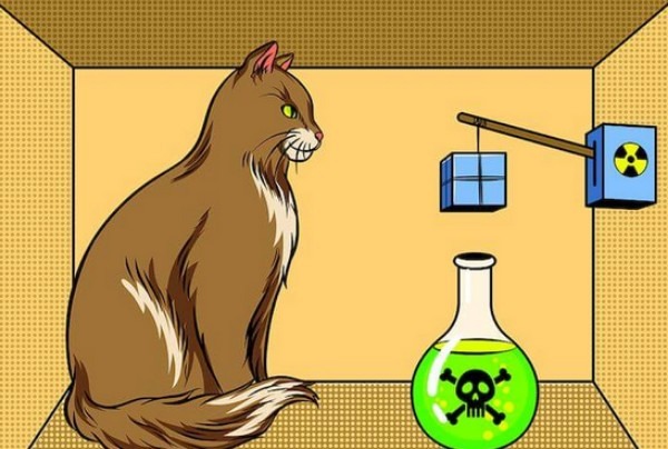 Schrodinger's Cat.jpg