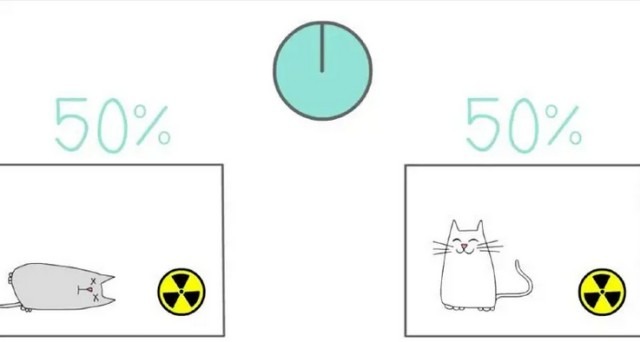 Schrodinger's Cat.jpg