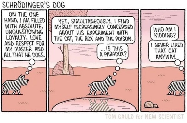 Schrodinger's Dog Tom Gauld.jpg