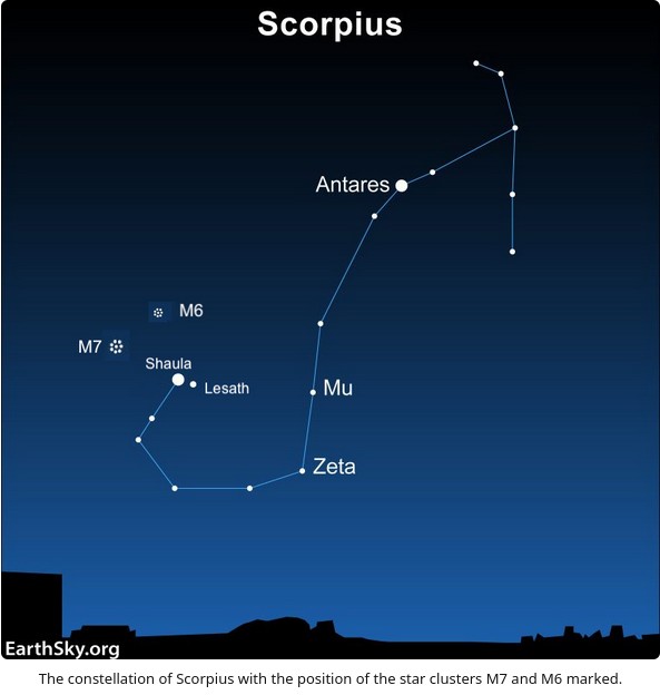 Scorpio.jpg